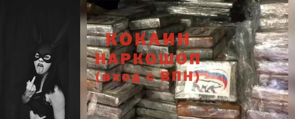 бошки Ладушкин