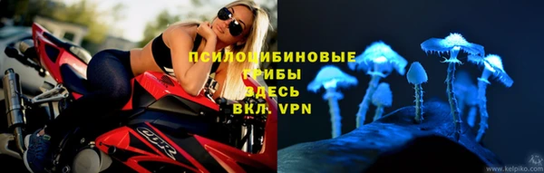 индика Лабытнанги