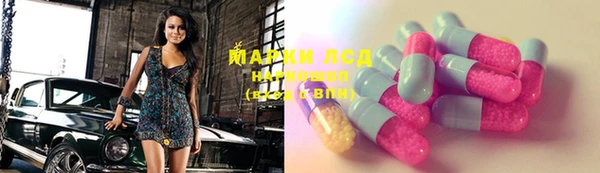 индика Лабытнанги