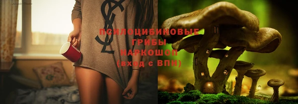 индика Лабытнанги