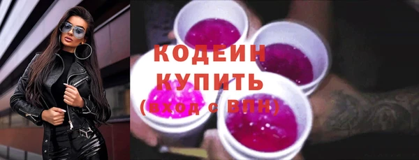 индика Лабытнанги