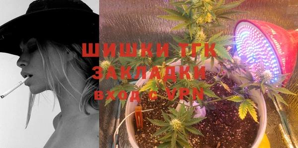 индика Лабытнанги