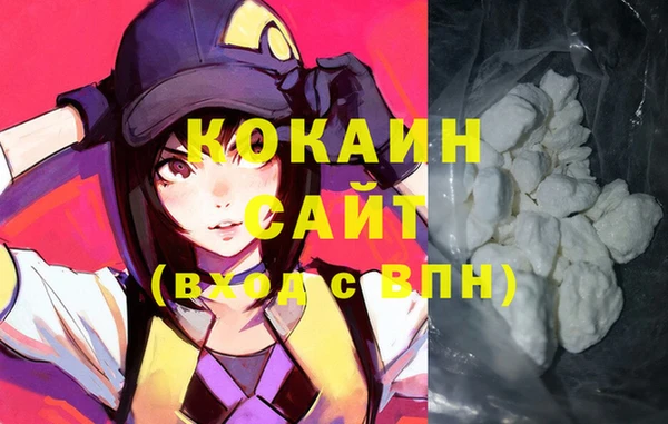 индика Лабытнанги