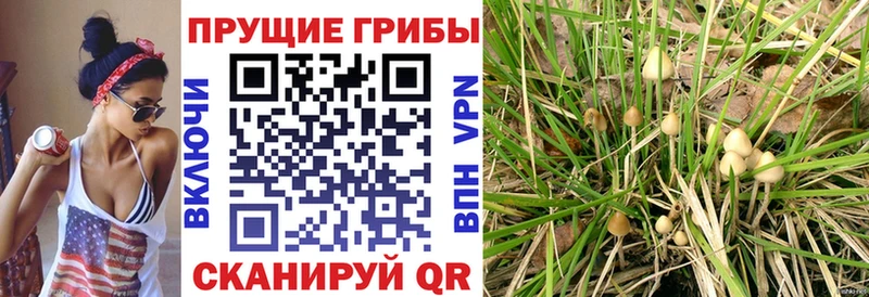 Галлюциногенные грибы мицелий  Ялта 