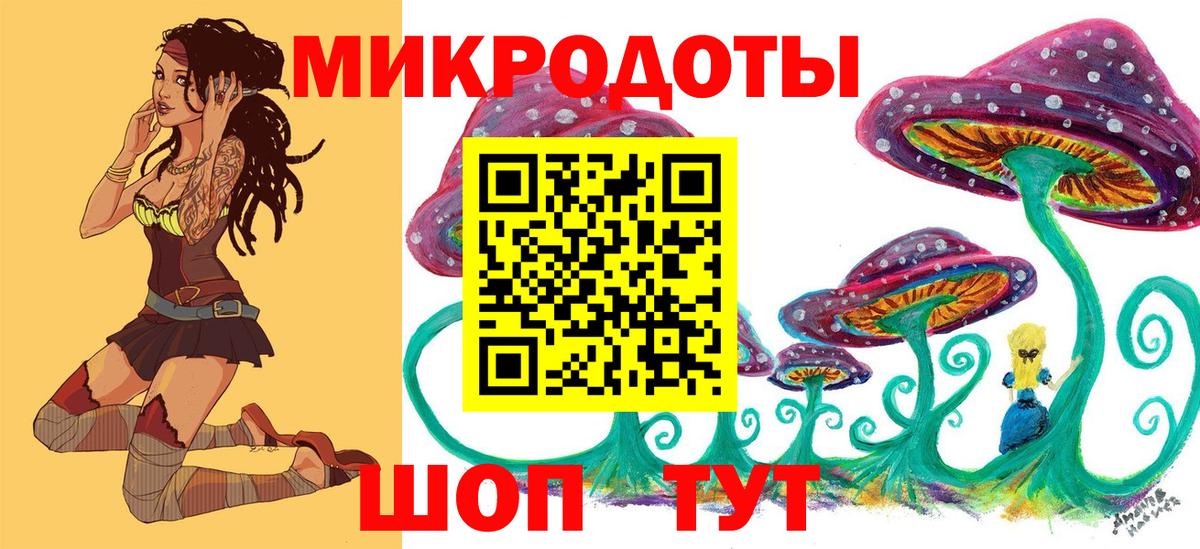 Псилоцибиновые грибы Psilocybe Ялта